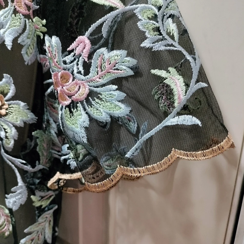 LuLaRoe Deanne II Sheer Embroidered Floral Maxi Dress Black Pink Blue 2XL Plus - Picture 7 of 10